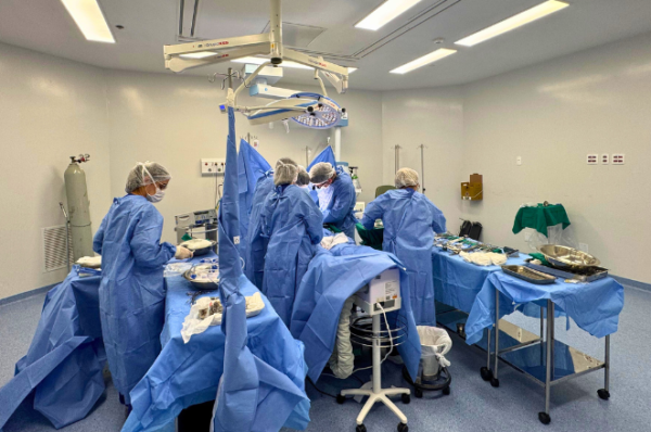 HRVJ-CAPTACAO-ORGAOS-1-600x398