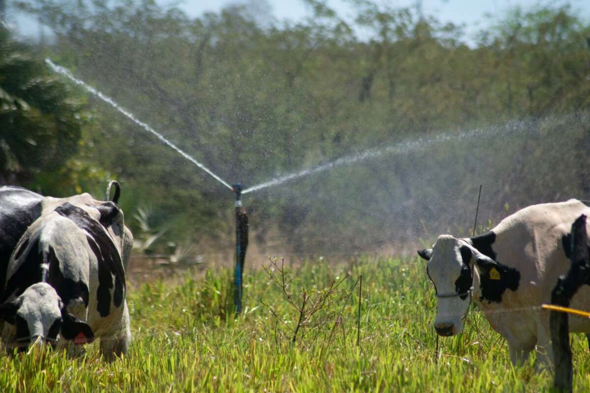 1200fed3-8f67-4b90-b1bc-dc9861cccf91-1