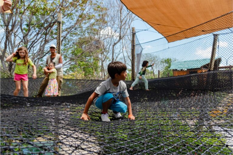 Portal-Terra-da-Luz-2025-12-23T115030.546