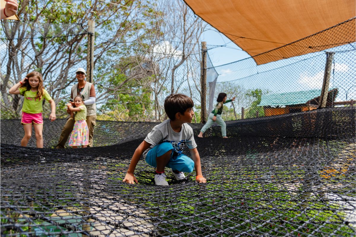 Portal-Terra-da-Luz-2025-12-23T115030.546