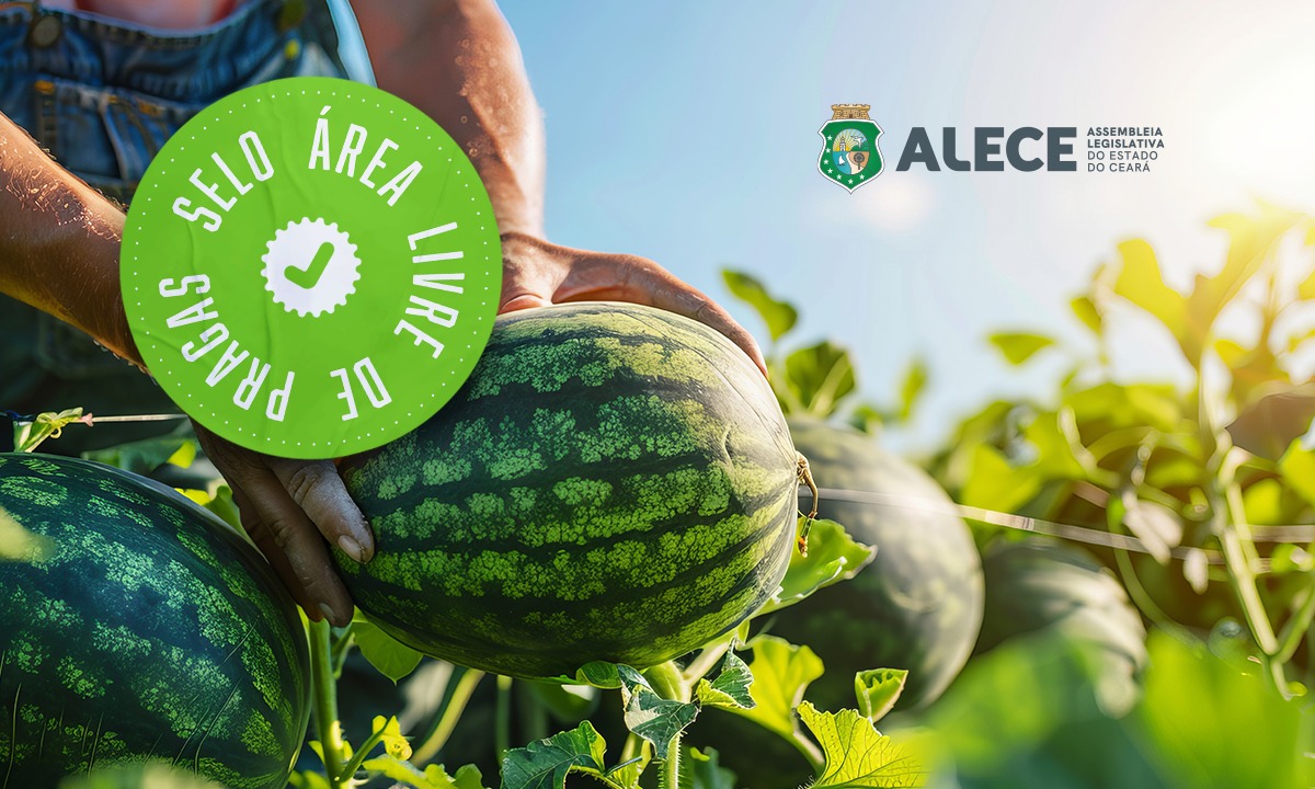 thKNbLCuP5lkBuNeWNAOz8bK3zwbnR6KQaygW55p (1)