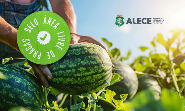 thKNbLCuP5lkBuNeWNAOz8bK3zwbnR6KQaygW55p