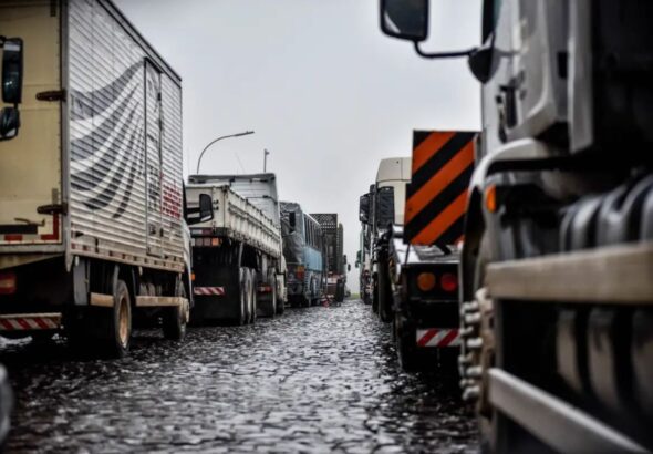 PORTAL-TERRA-DA-LUZ-FOTOS-2026-03-18T071912.748