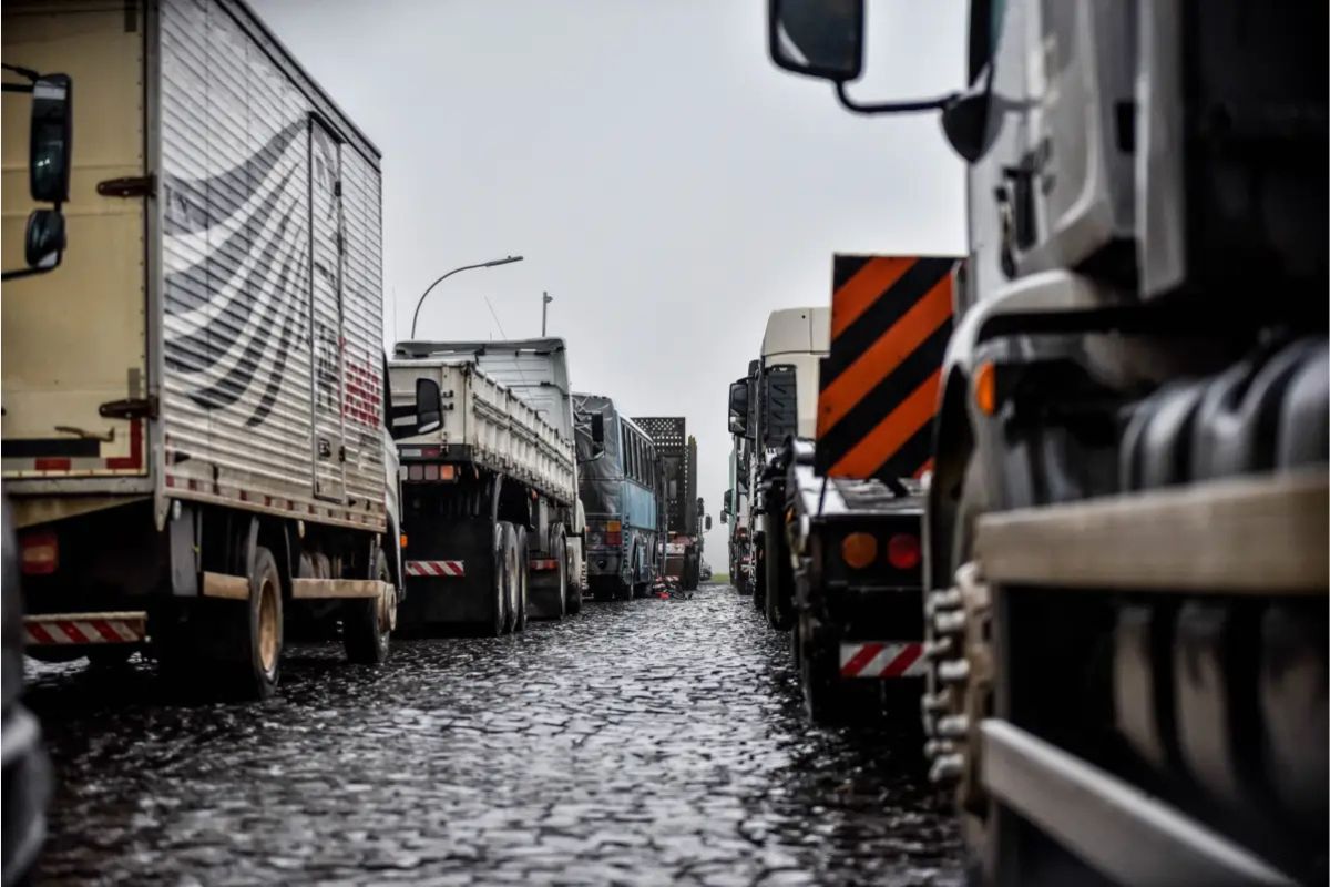 PORTAL-TERRA-DA-LUZ-FOTOS-2026-03-18T071912.748