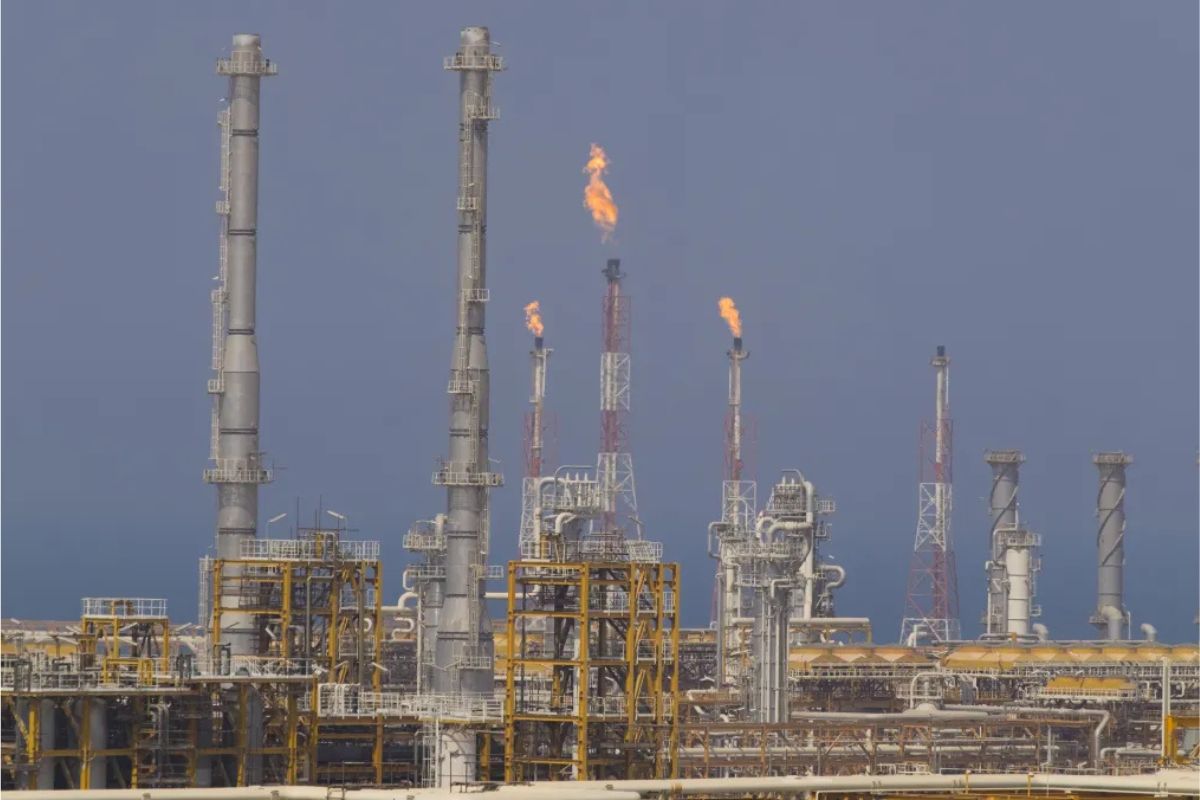 PORTAL-TERRA-DA-LUZ-FOTOS-2026-03-19T060208.056