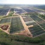 arapua-jun-25-31-1200x800