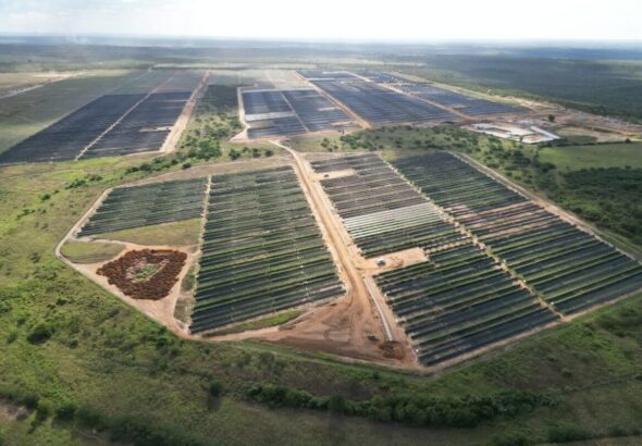 arapua-jun-25-31-1200x800