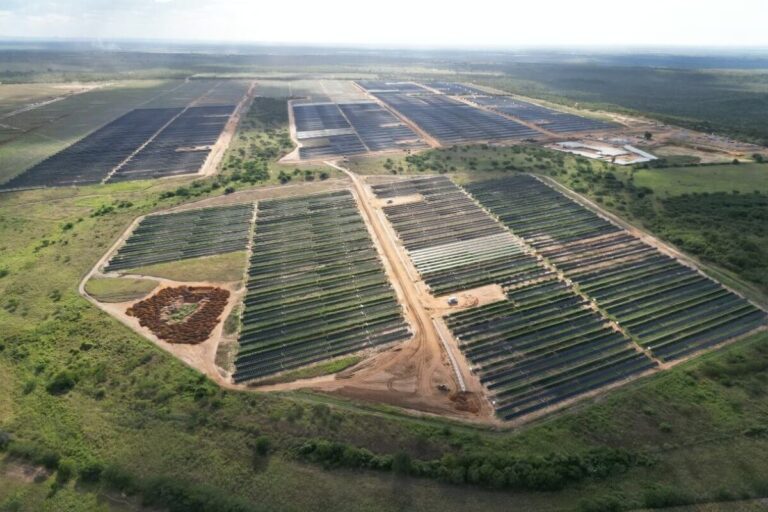 arapua-jun-25-31-1200x800